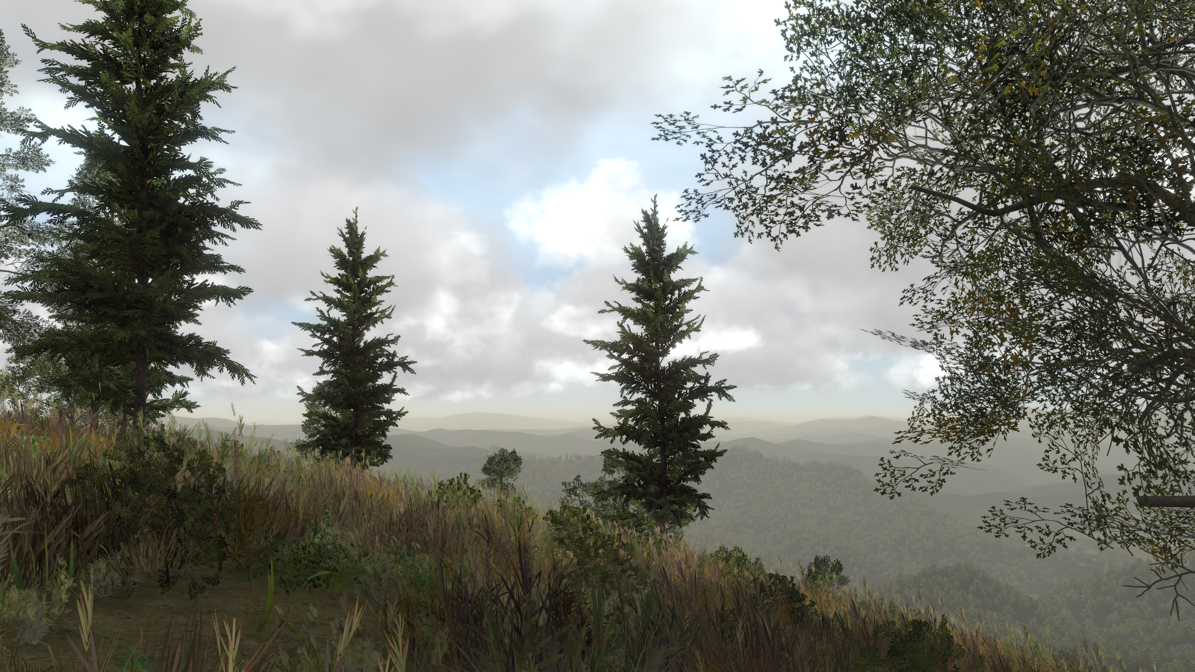 Generative Vegetation in the MAK Earth Terrain Engine