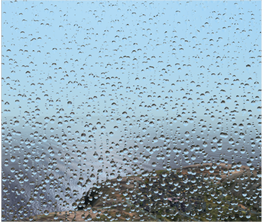 Rain on the windscreen